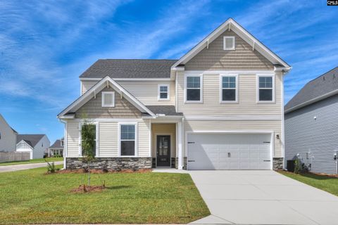 A home in Chapin Place, Chapin