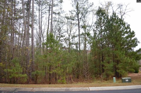 9 Nautical Drive active home in Lake Wateree, Camden, SC