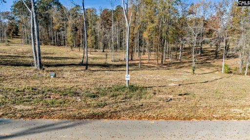 0 Navigator Trail active home in Breakwater At Woodside Shores, Prosperity, SC