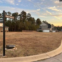 201 Sago Palm Drive