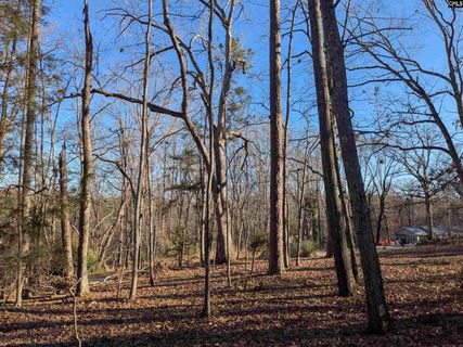 Dogwood Avenue