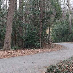 291 Big Timber Drive