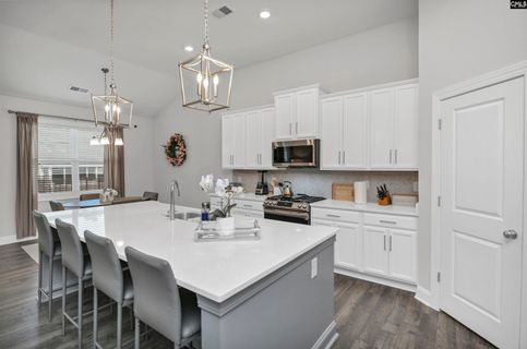 Homes in Clubridge At Woodcreek Farms, Elgin