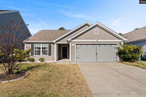 145 Sundew Road active home in The Valley, Elgin, SC