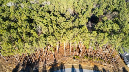 Lot 83 Timber Trail Lane active home in Stewart Landing, Prosperity, SC