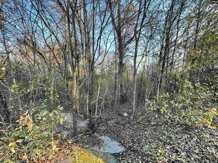 Lot 6-C Forest Circle