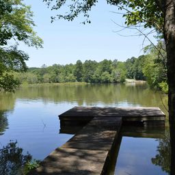 280 General Sumter Drive