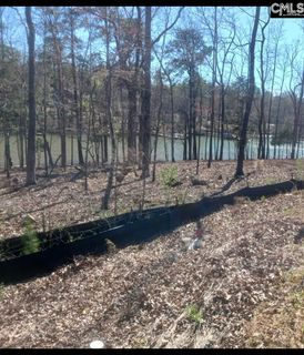 1061 Refuge Place active home in Whitewater Landing, Chapin, SC