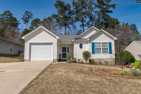 1017 Aderley Oak Drive pending home in Aderley, Irmo, SC