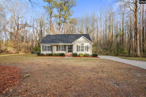 Homes in Laurel Hill, Orangeburg