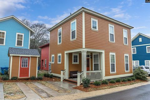 Homes in St Anns Alley, West Columbia