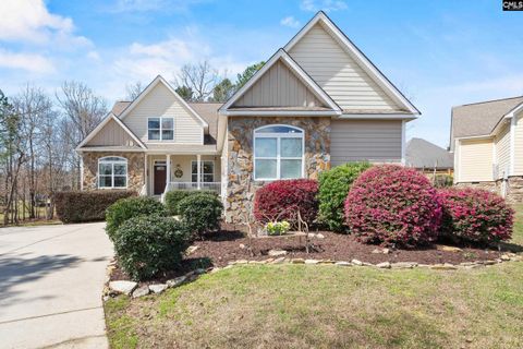 157 Blue Wing Drive pending home in Pintail Point, Gilbert, SC