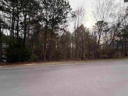 1334 Camping Road