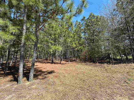 Lot 1 Mimosa Drive