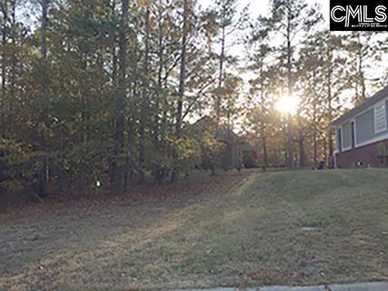 117 Cart Way active home in Longcreek The Greens, Blythewood, SC