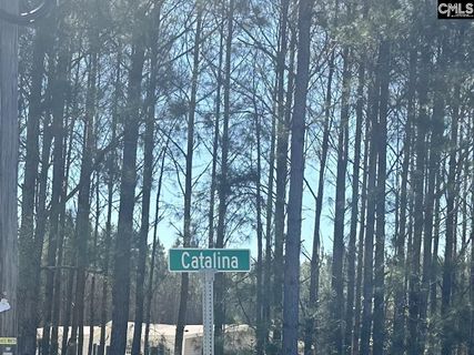 0 Catalina Boulevard