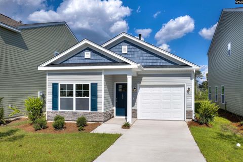 282 Brando Way active home in Haynes Park, Columbia, SC