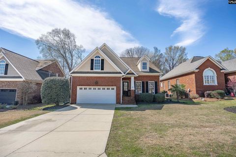 202 Lake Hilton Drive active home in The Village At Hilton, Chapin, SC