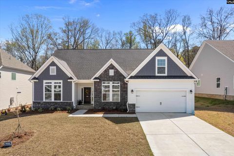 558 Wild Ginger Loop active home in River Shoals, Irmo, SC