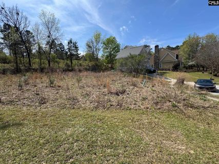 388 Hay Hill Court pending home in GREENHILL PARISH, Elgin, SC