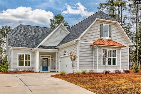 816 Elms Spinney Lane pending home in Whitewater Landing, Chapin, SC