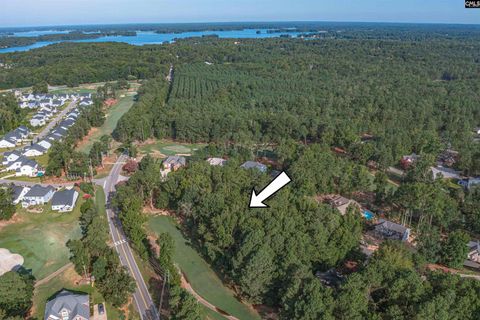 118 Lake Summit Drive pending home in Plantation Summit, Chapin, SC