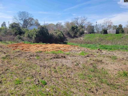 E/S Tremont Avenue active home in Belmont, Columbia, SC