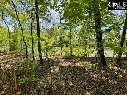 Lot 1 Highway 121