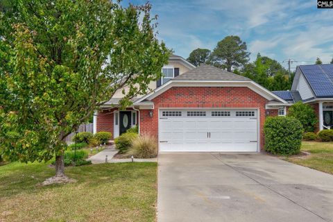 Homes in Flora Springs Park, Columbia