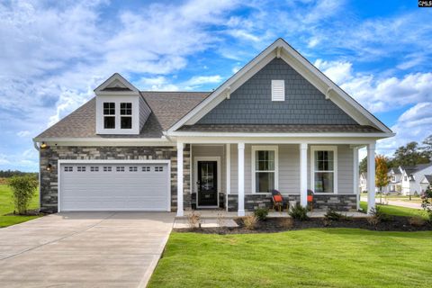 617 Basalt Court active home in Chapin Place, Chapin, SC