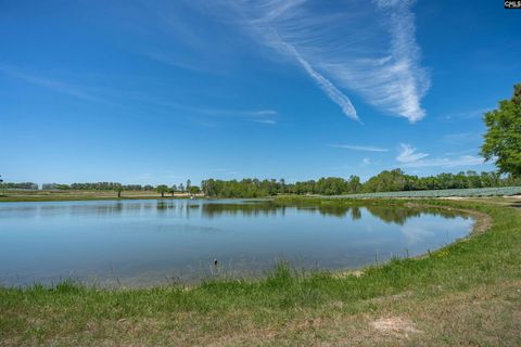 225 Burma Road pending home in Shadowbrooke, Lexington, SC