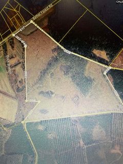1725 Bethel Forest Road