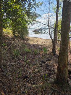 118 Club Court active home in Timberlake Plantation, Chapin, SC