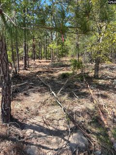 Bdf 1 Beaverdam Road