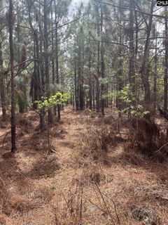 Bdf 3 Beaverdam Road