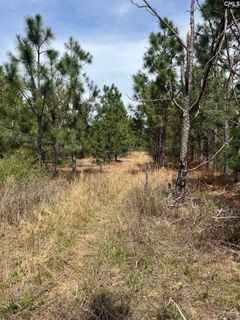 Bdf 6 Beaverdam Road