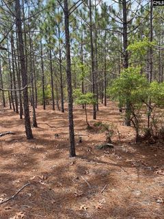 Bdf 8 Beaverdam Road