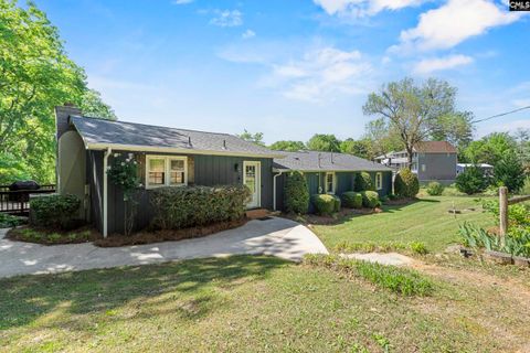 414 Wood Willow Point pending home in Woodwillow Point, Chapin, SC