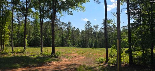 A home in Oak Park, Winnsboro