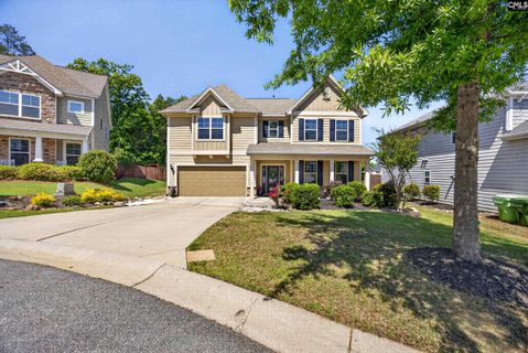 436 Maria Posada Ct active home in Portrait Hill, Chapin, SC