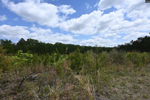 0 Platt Springs Road