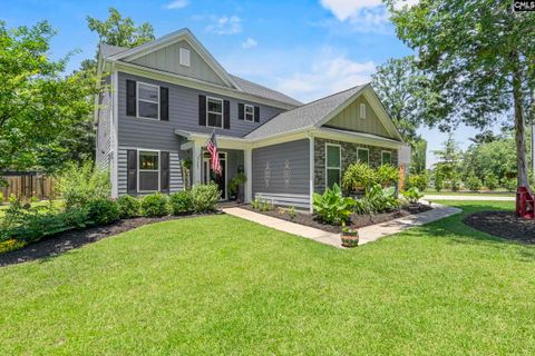 303 Pine Meadow Drive active home in Night Harbor, Chapin, SC