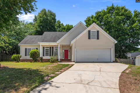 Homes in Walnut Grove, Irmo
