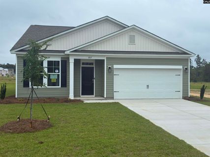 207 Ruby Prince Way active home in Peachtree Hills, Lexington, SC