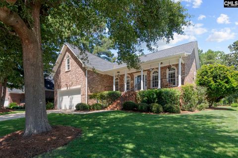 115 Pointe Overlook Drive active home in Timberlake - Overlook Pointe, Chapin, SC