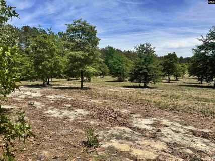 1345 Cheraw Rd