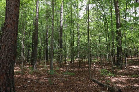 1091 Pine Grove Road