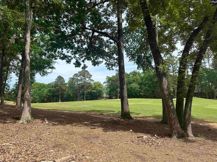 537 Misty Banks Drive active home in Whitewater Landing, Chapin, SC