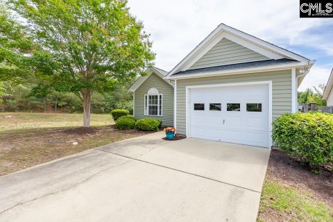 Homes in Springhaven, Columbia