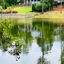 Tbd Lake Drive